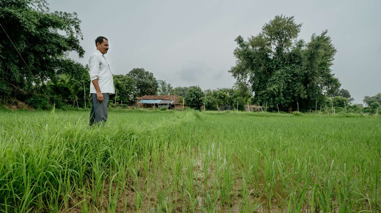 Indian farmer in field