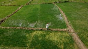 AIM for Scale Featured in The Conversation Article on How AI Is Transforming Weather Forecasting