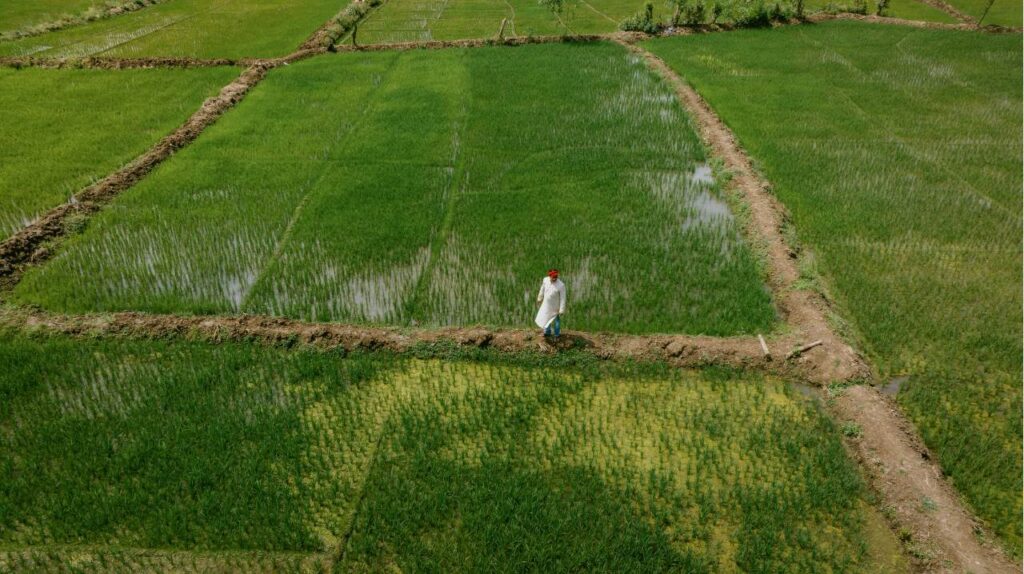 AIM for Scale Featured in The Conversation Article on How AI Is Transforming Weather Forecasting