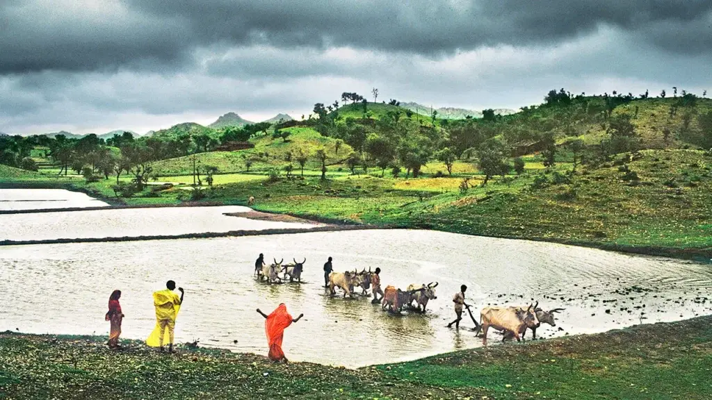 The Economist Covers India Monsoon Forecast Project